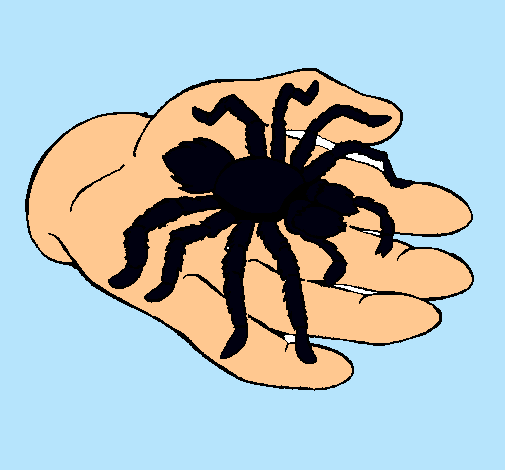 Tarántula