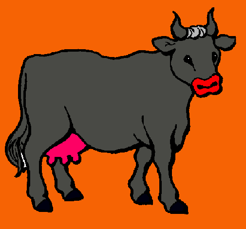 Vaca