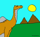 Dibujo Camello pintado por lurdes22