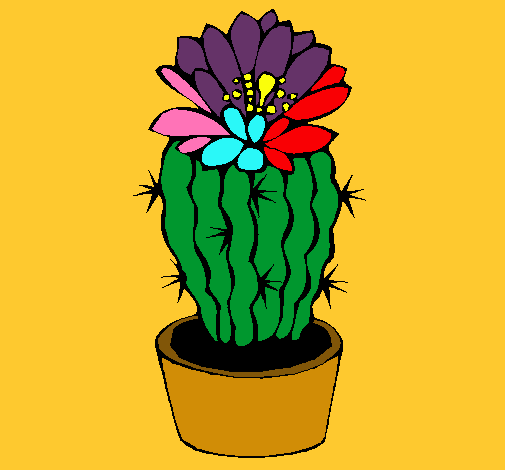 Cactus con flor