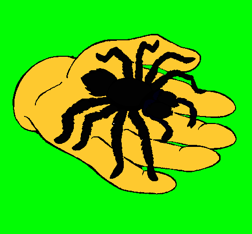 Tarántula