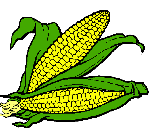 Dibujo Mazorca de maíz pintado por palmdan
