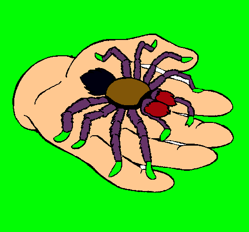 Tarántula