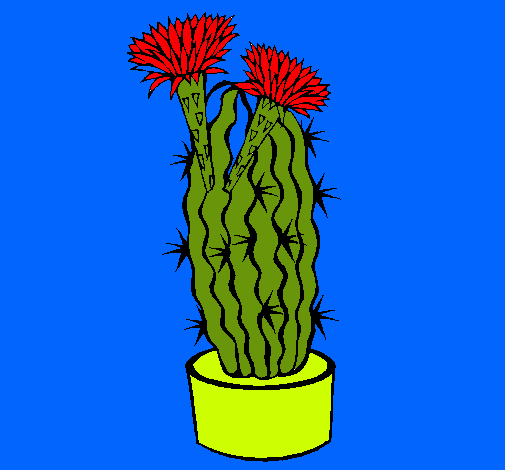 Cactus con flores