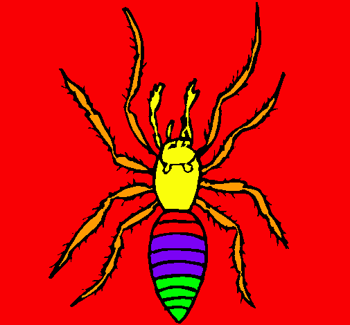 Araña tigre