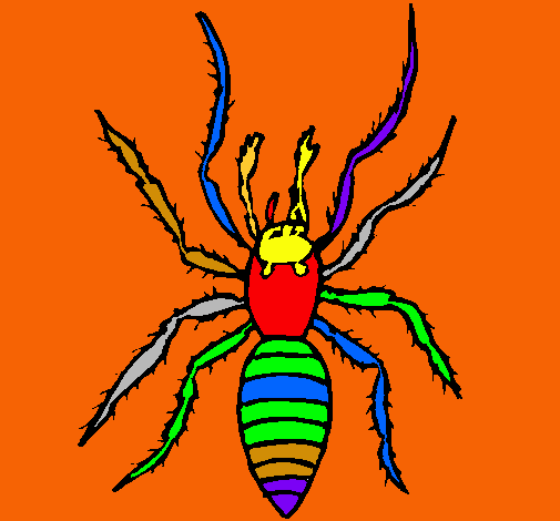 Araña tigre