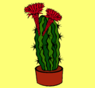 Dibujo Cactus con flores pintado por Pachincito