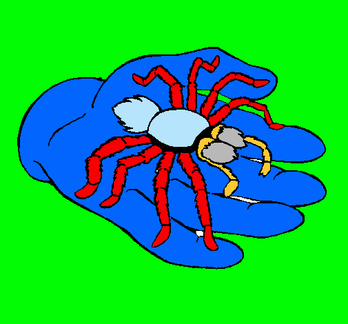 Tarántula