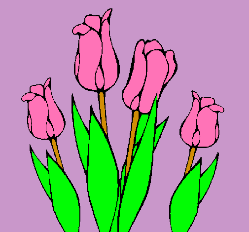 Tulipanes