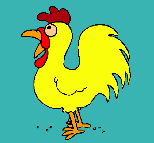 Gallo de granja