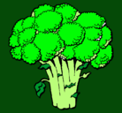 Dibujo Brócoli pintado por BROCOLI