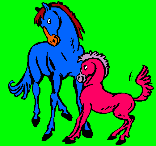 Caballos