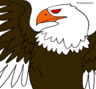 Dibujo Águila Imperial Romana pintado por felumeoni