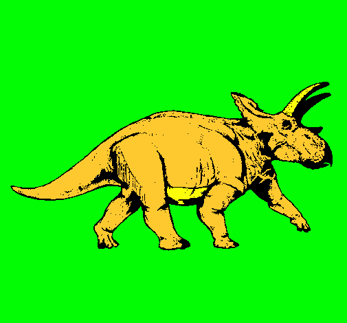 Triceratops