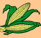 Dibujo Mazorca de maíz pintado por deisi