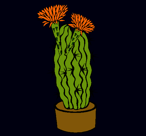 Cactus con flores