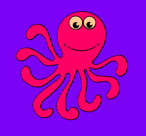 Pulpo 2