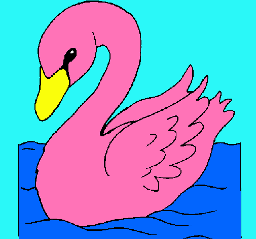 Cisne