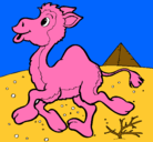 Dibujo Camello pintado por rosilla