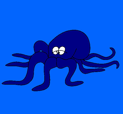 Pulpo