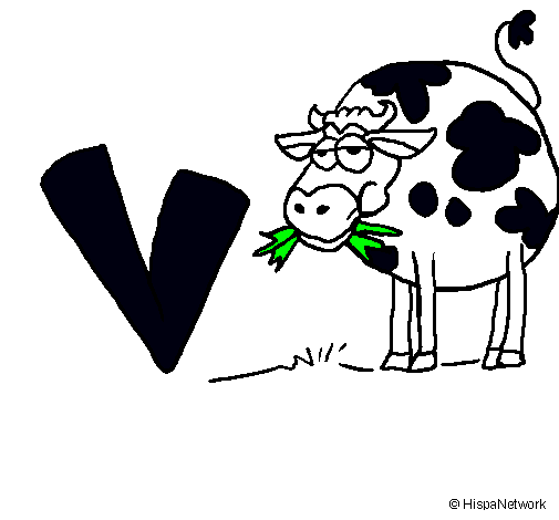 Vaca