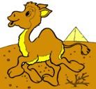 Dibujo Camello pintado por sneider