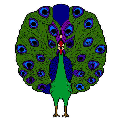 Pavo real