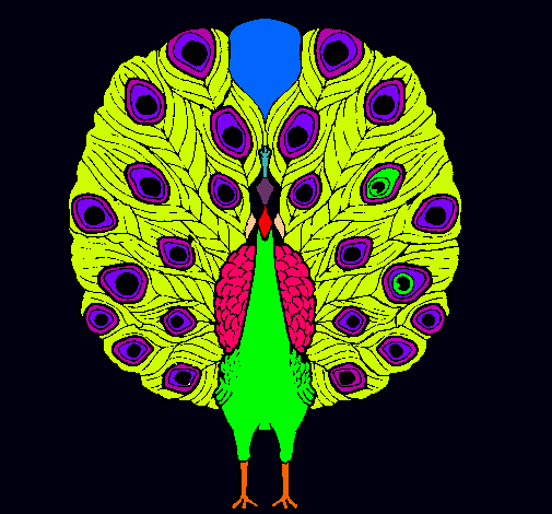 Pavo real