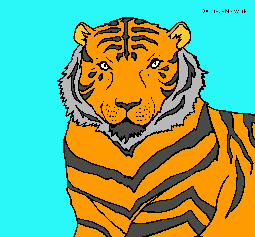 Dibujo Tigre pintado por osvaldo