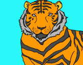 Dibujo Tigre pintado por osvaldo