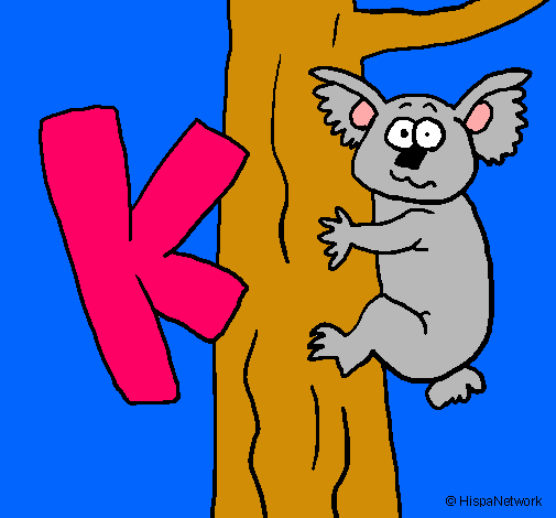 Koala