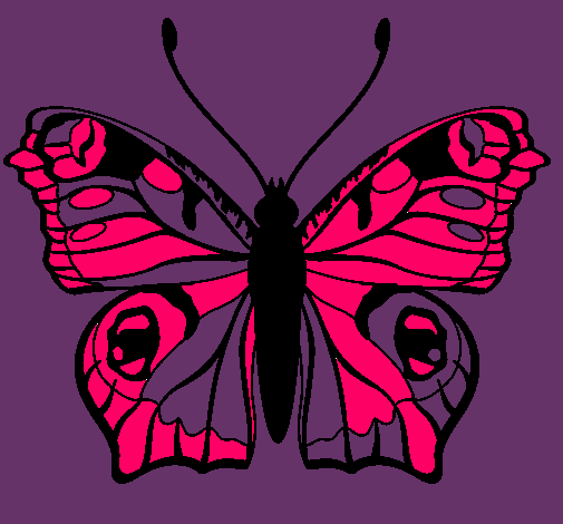 Mariposa 