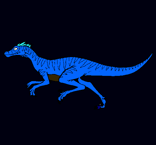 Velociraptor