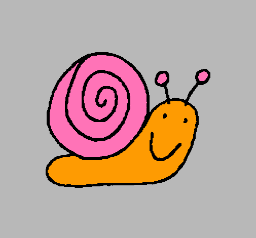 Caracol 4