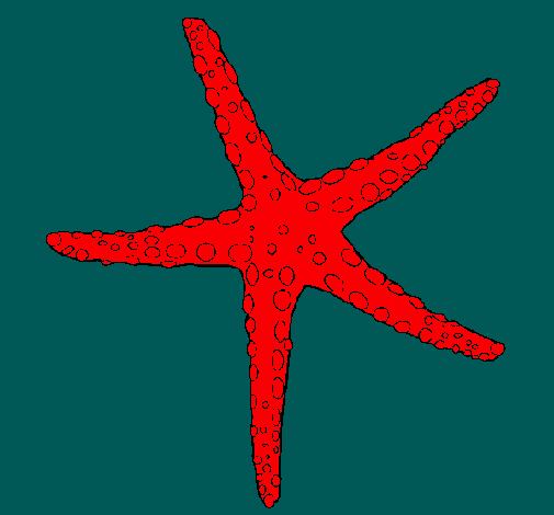 Estrellita de mar