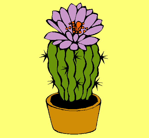 Cactus con flor