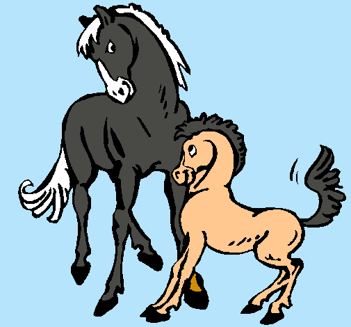 Caballos