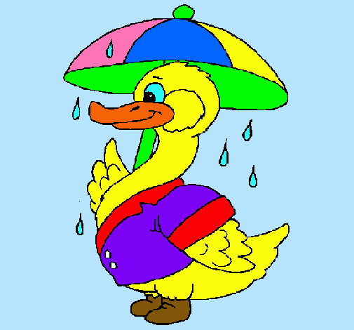 Pato bajo la lluvia