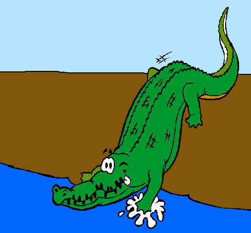 Aligátor entrando al agua