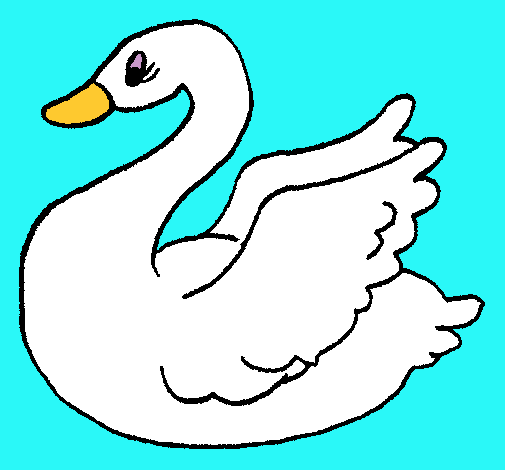 Cisne