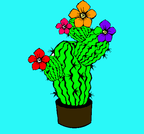 Flores de cactus