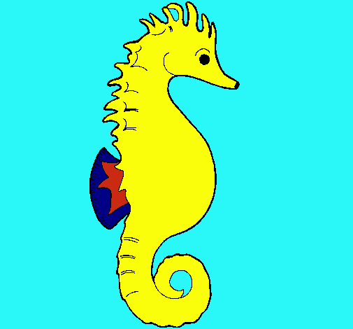 Caballito de mar