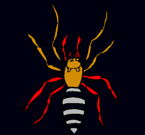 Araña tigre