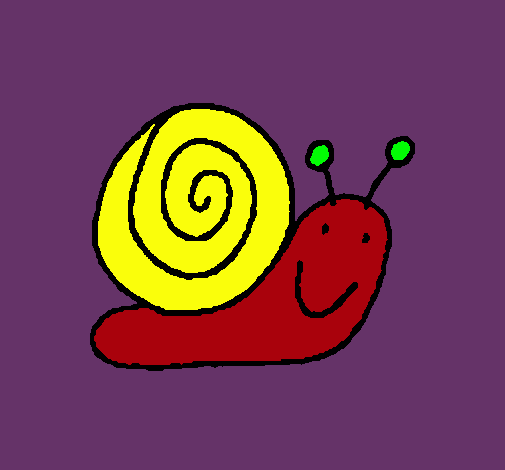 Caracol 4