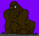 Dibujo Gorila pintado por chinche
