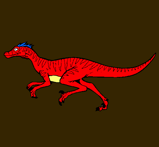 Velociraptor