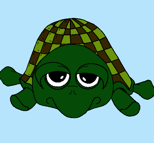 Tortuga