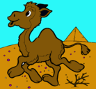 Dibujo Camello pintado por t4re