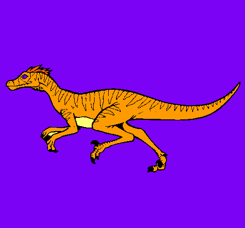 Velociraptor