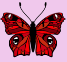 Dibujo Mariposa  pintado por Pachincito